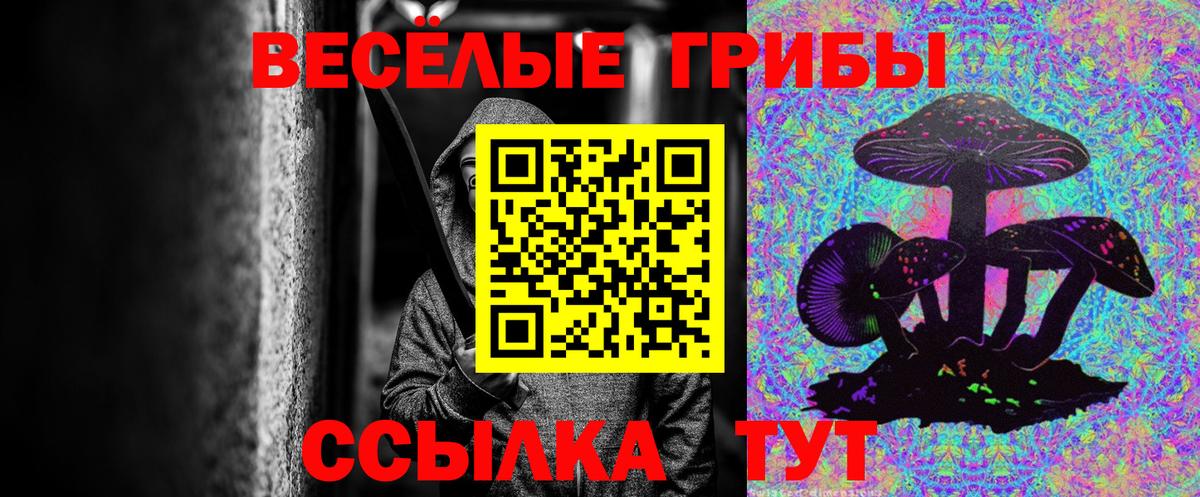 Галлюциногенные грибы Magic Shrooms  даркнет сайт  Карачаевск  Вход с VPN 