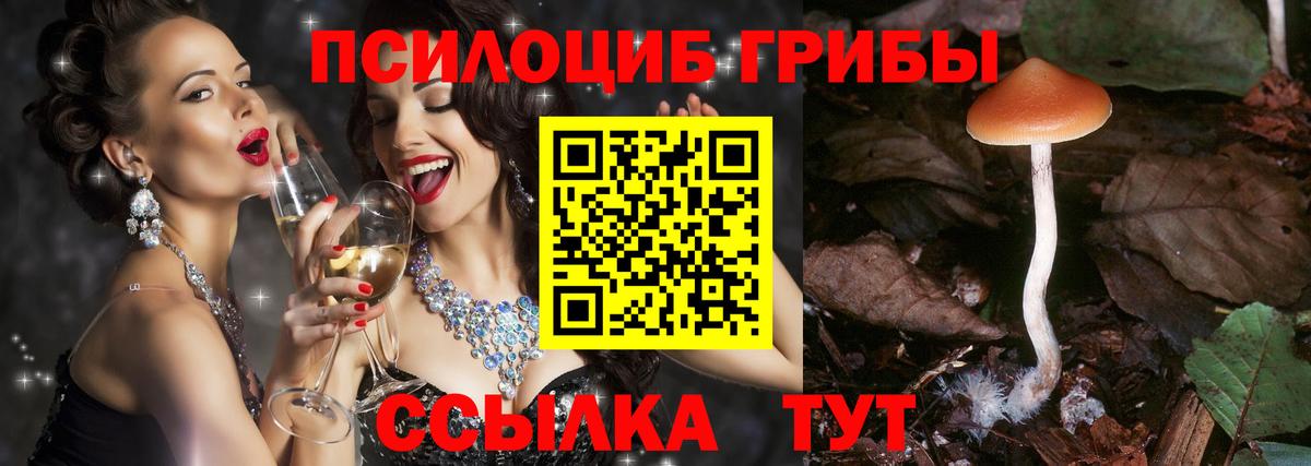 Псилоцибиновые грибы прущие грибы Карачаевск